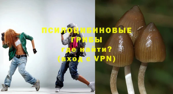 ГАЛЛЮЦИНОГЕННЫЕ ГРИБЫ Богородск