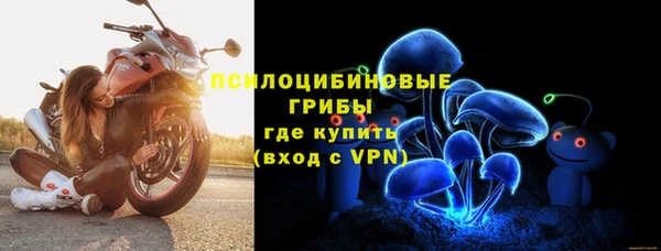 МДПВ Богородицк