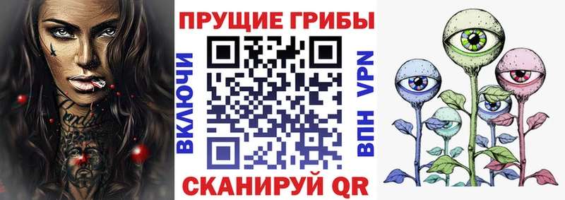 Псилоцибиновые грибы Magic Shrooms  где купить наркоту  ссылка на мегу как зайти  Южа 